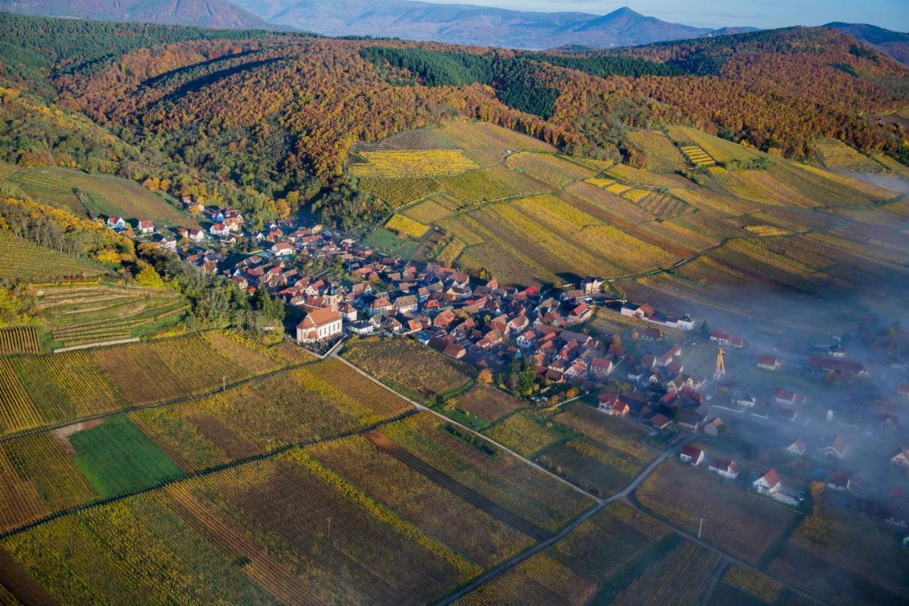 Maison De Ville Selestat Centre Екстериор снимка